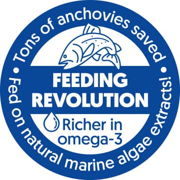 FJORU ASC Lachs Schwanzstück mit Haut FEEDING REVOLUTION