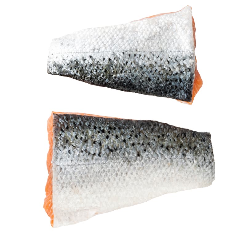 FJORU ASC Lachs Schwanzstück mit Haut FEEDING REVOLUTION