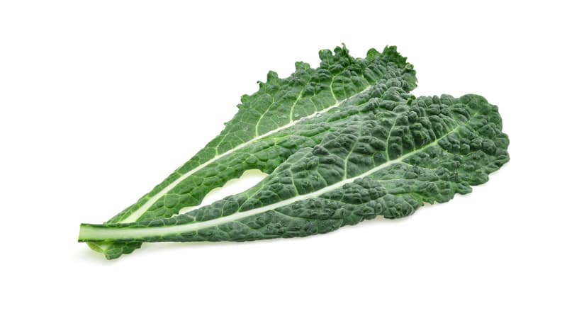 Black cabbage - Palm cabbage