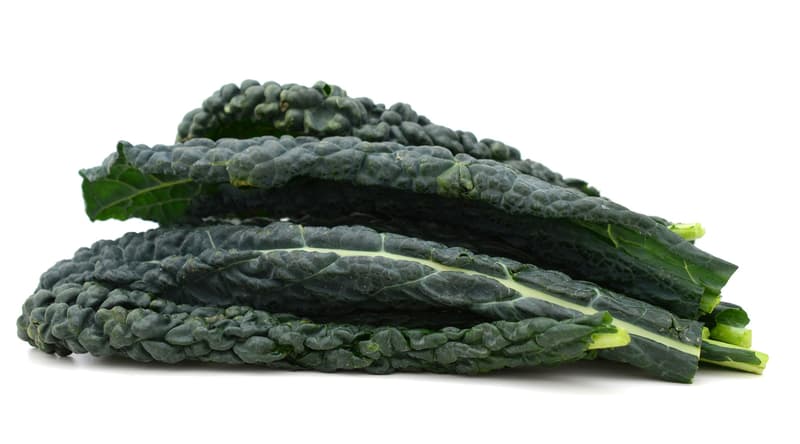 Black cabbage - Palm cabbage