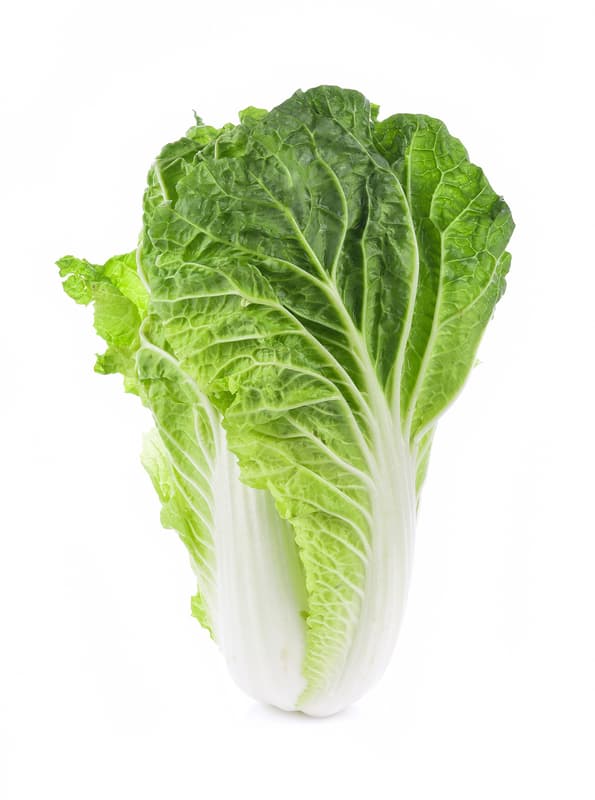 Chinese cabbage green
