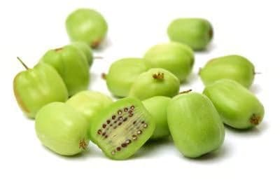 Kiwish (Baby Kiwi)