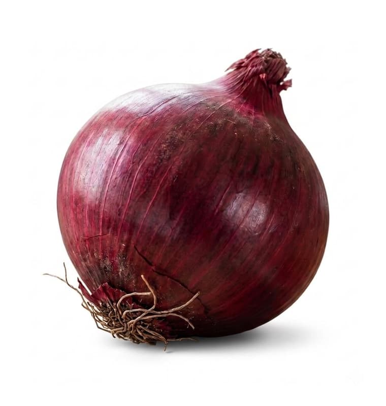 Marchfelder BIO Zwiebel Rot, lose