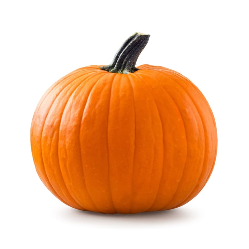 Halloween Kürbis, mittel