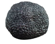 Premium Winter Truffle