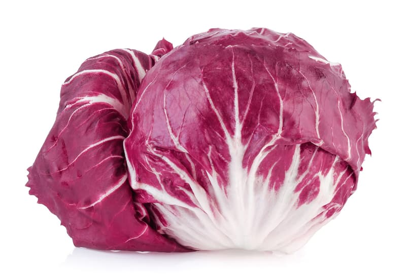 Michi Bauers Radicchio
