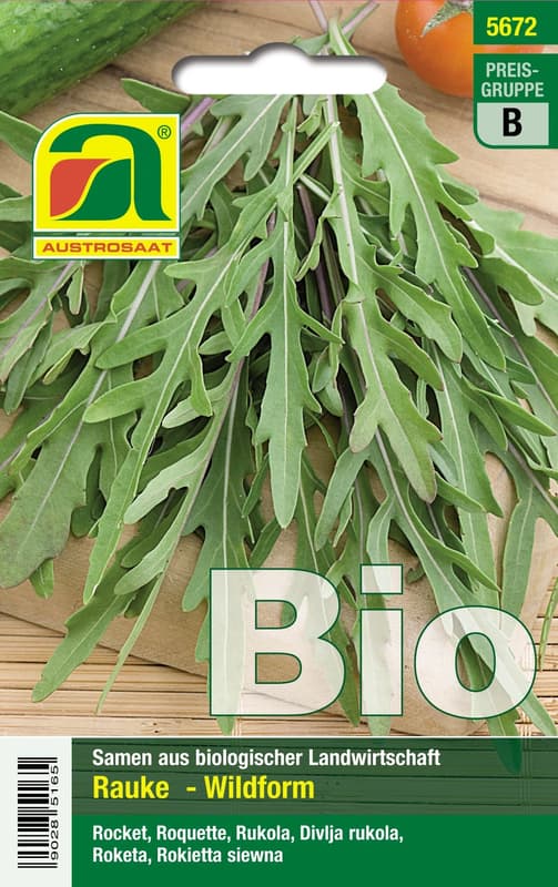 Austrosaat BIO Rucola selvatica