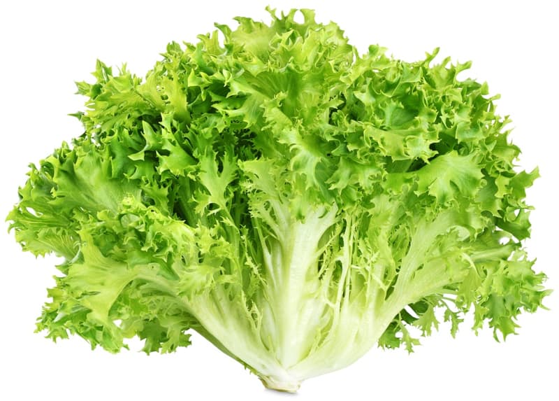 Michi Bauers Endiviensalat