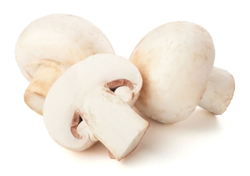 BIO Champignon weiß