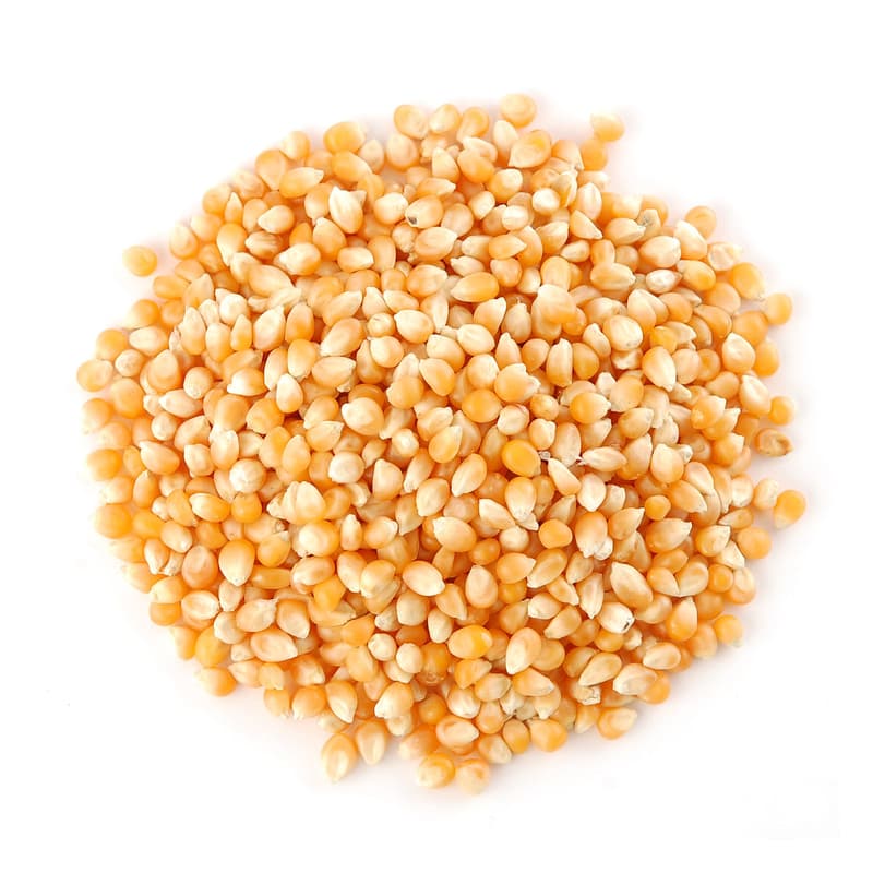 Kraftladen's BIO Popcorn-Mais