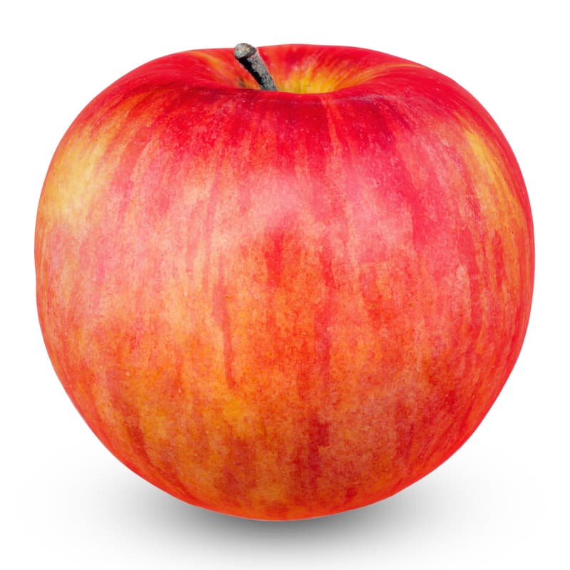 Snackäpfel Rockit