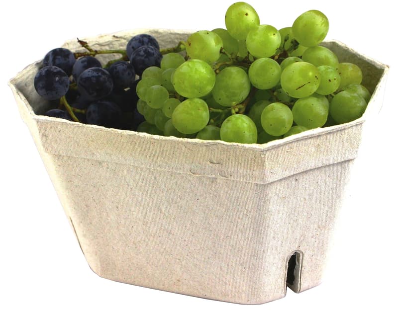 BIO Table Grape Mix