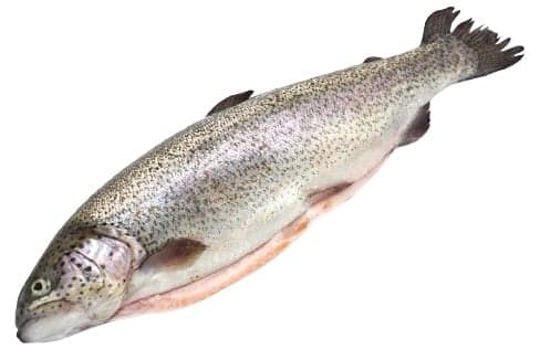Mariazeller Alpenfisch BIO Salmon trout whole
