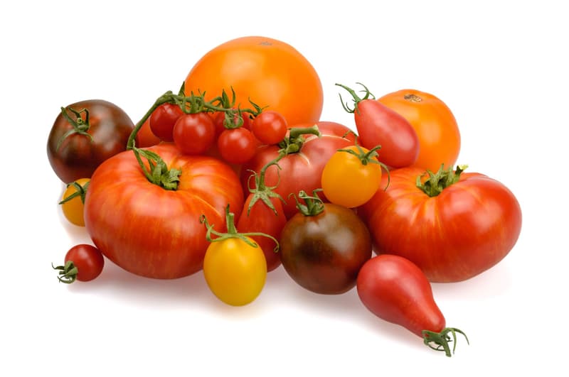 BIO tomato mix