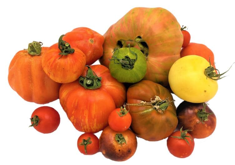 BIO tomato mix