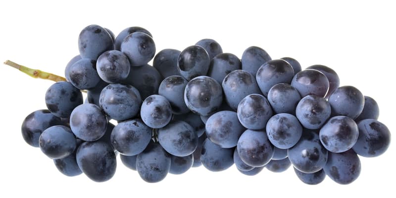 BIO Grapes blue