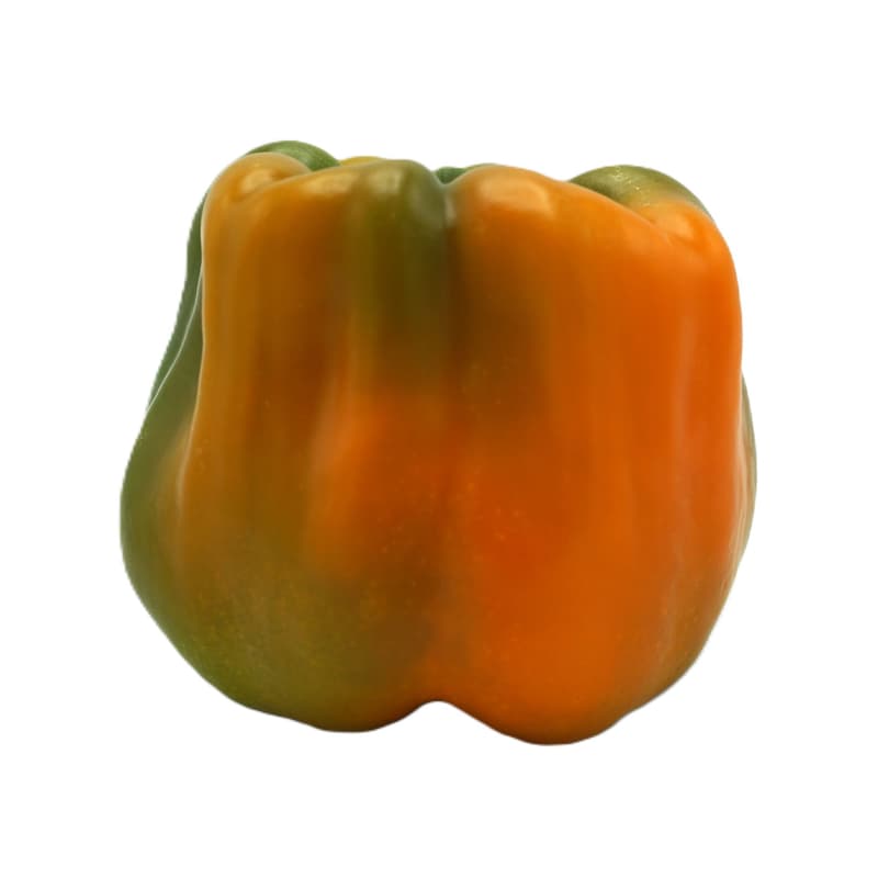 BIO Paprika Rariät "Cubo" Orange