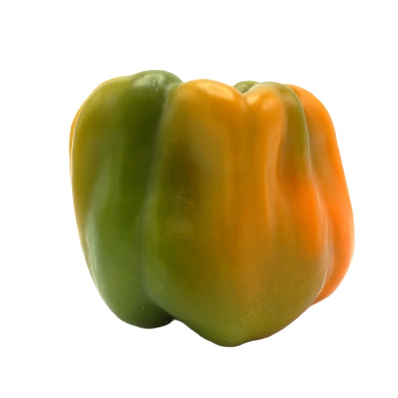 BIO Paprika Rariät "Cubo" Orange