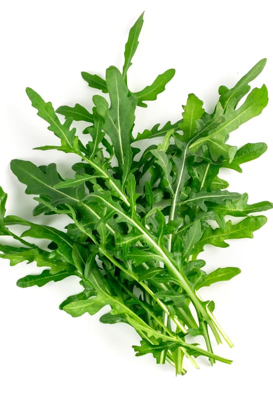 Bodenstark BIO Rucola