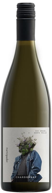 Weingut Martin Pasler Chardonnay 2022