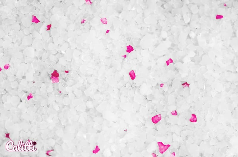 KAHU Silicate Cat Litter by CALITTI