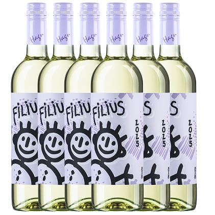 Hagn Grüner Veltliner Filius 2025 6er Karton