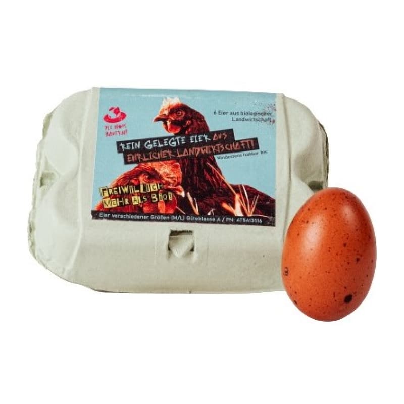 Hopibauern BIO Marans Eier L 6er