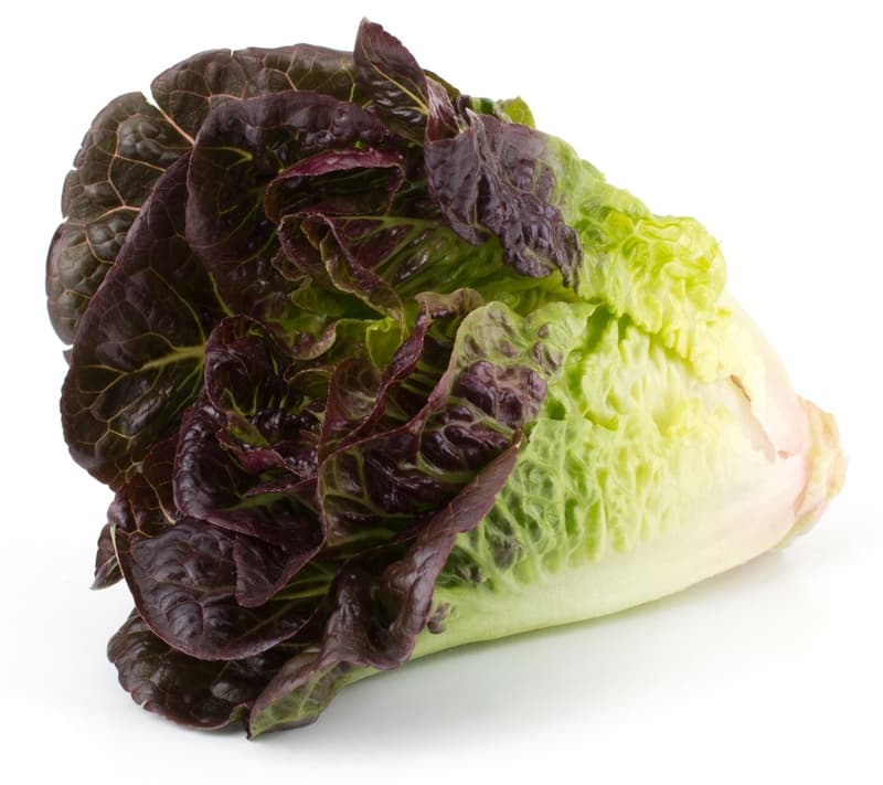 BIO Romanasalat