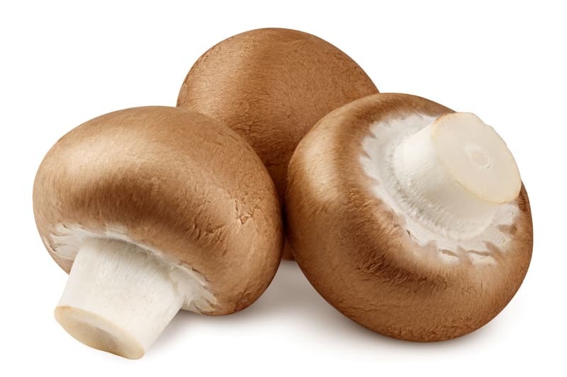 BIO Champignon creme