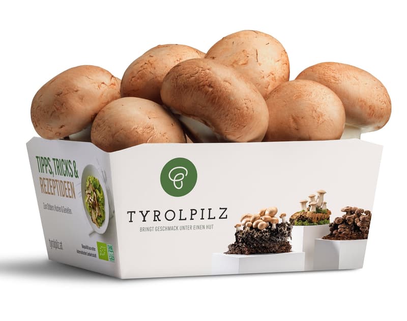 BIO Champignon creme