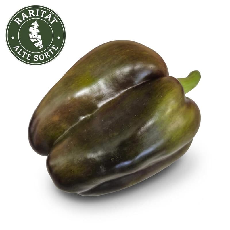 BIO Paprika Rarität "Mavras"