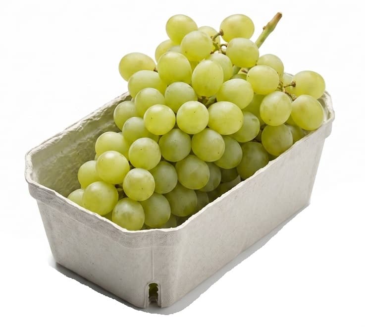 Tafel Trauben mit Kern "Aron"