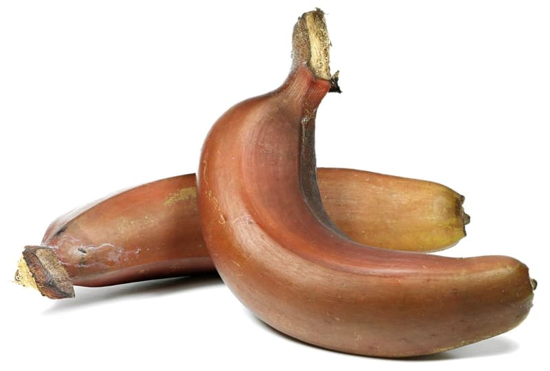 Bananen rot, lose, per Stück