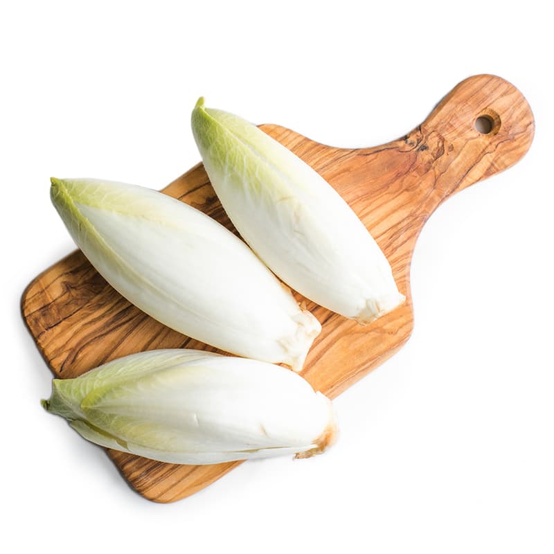 White chicory