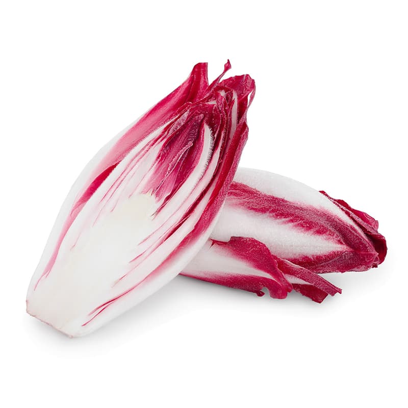 Chicorée rot