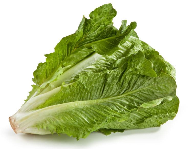 Romanasalat