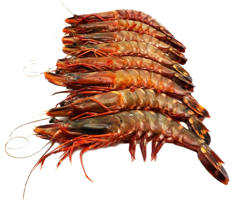 Eishken Estate Garnelen "Black Tiger" mit Kopf 6-8Stk/kg (tiefgekühlt)