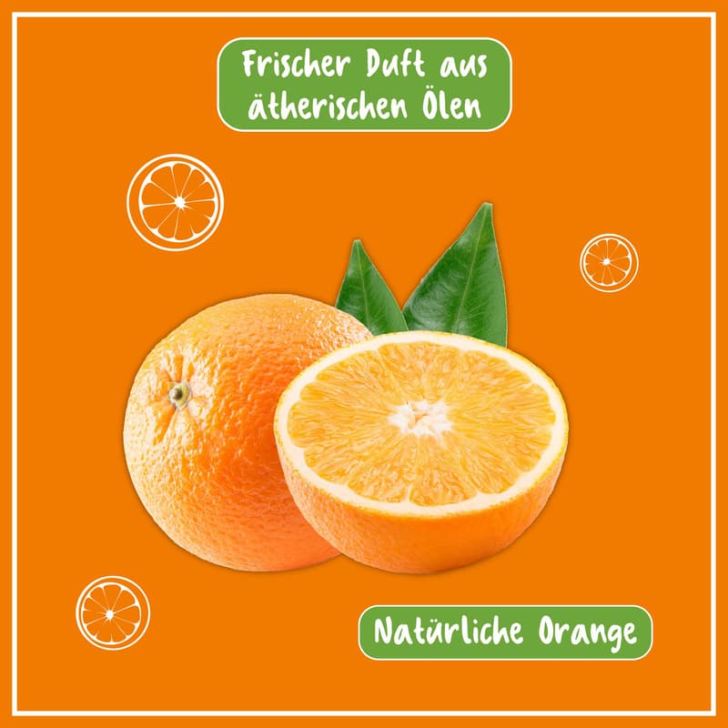 Poliboy BIO Küchen Reiniger