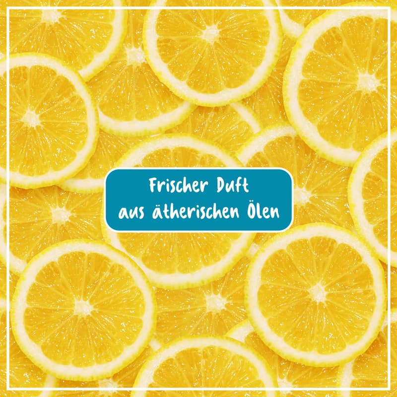 POLIBOY Organic Dishwashing Liquid lemon