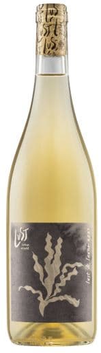 Lukas Strobl BIO Lust & Laune 2023