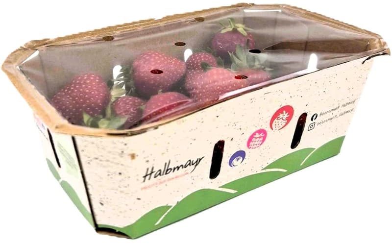 Halbmayrs Erdbeeren