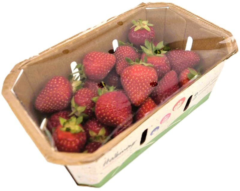 Halbmayrs Erdbeeren
