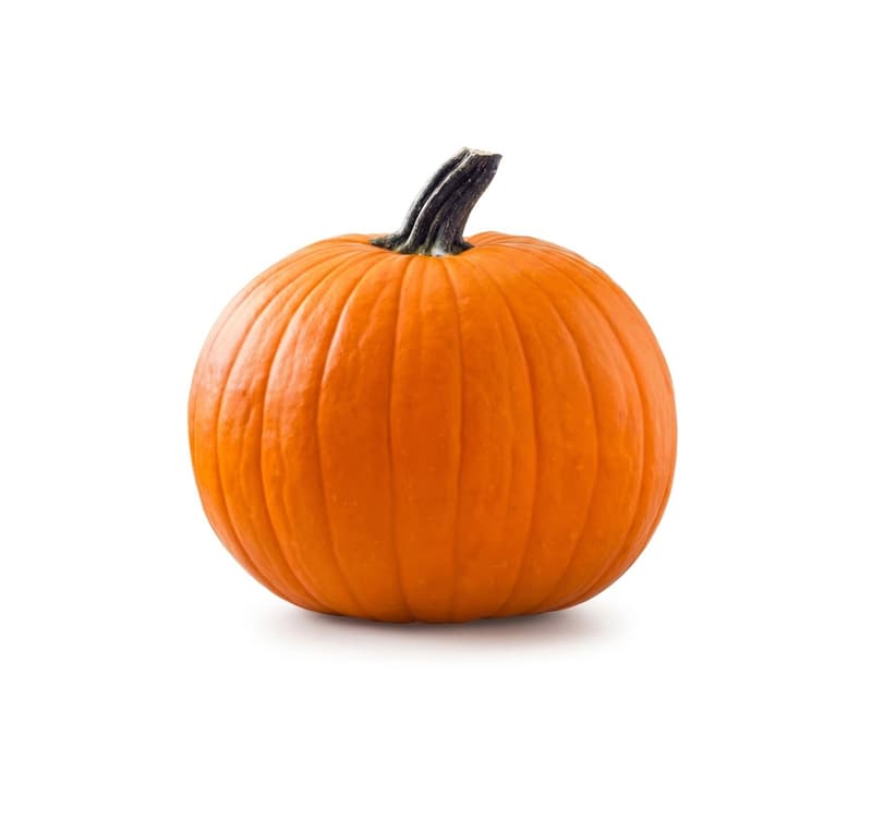 Halloween Kürbis klein, zum Bemalen