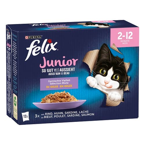 FELIX Junior MULTIPACK 12s