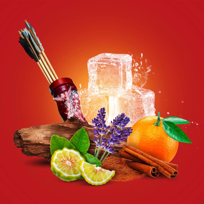 Old Spice Deo Stick Original