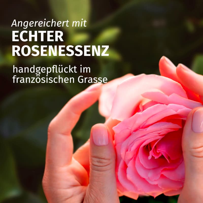 Herbal Essences Haarshampoo Blütensanft Rose