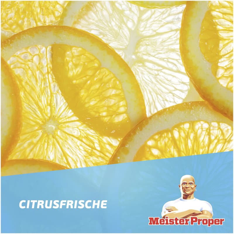 Meister Proper Citrus Fresh 1L