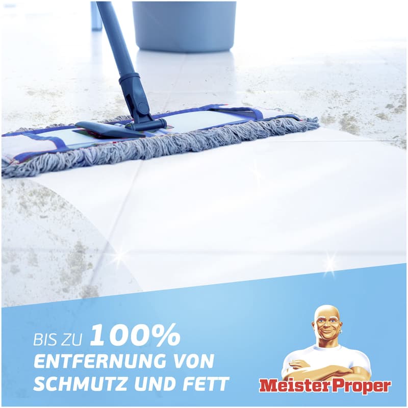 Meister Proper Frühlingserwachen 1L