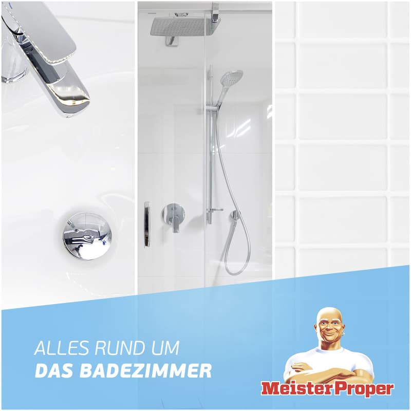 Meister Proper Spray Bad 800ml