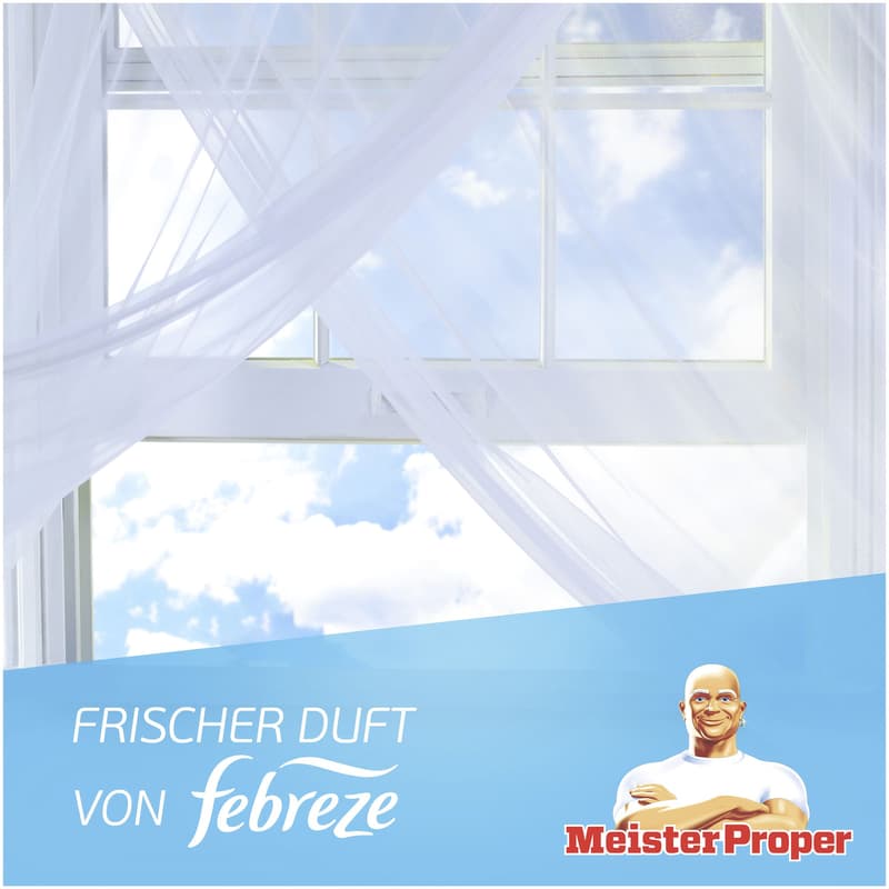 Meister Proper Spray Bad 800ml